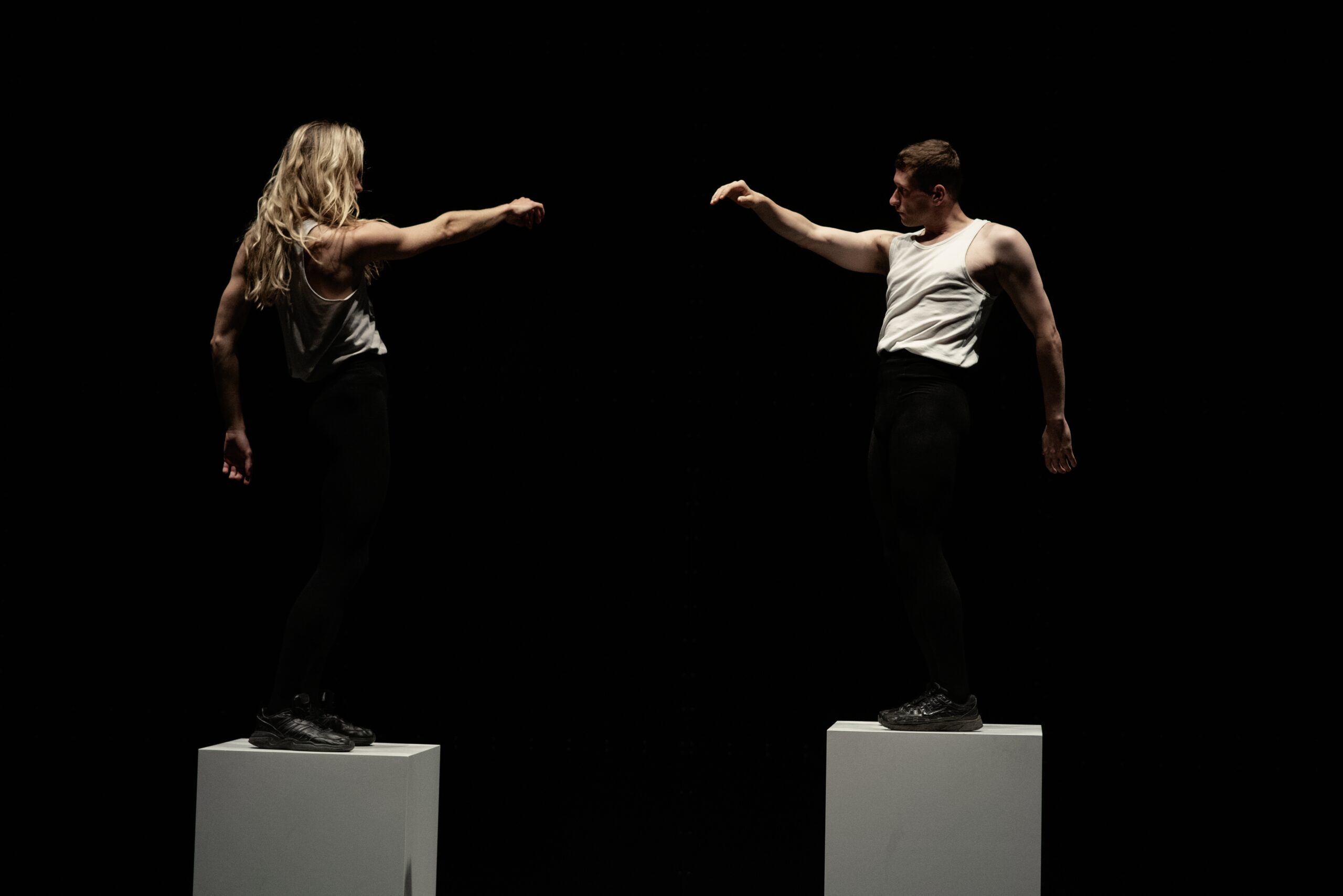 Christopher_Matthews_MBAE_WildCard_5594